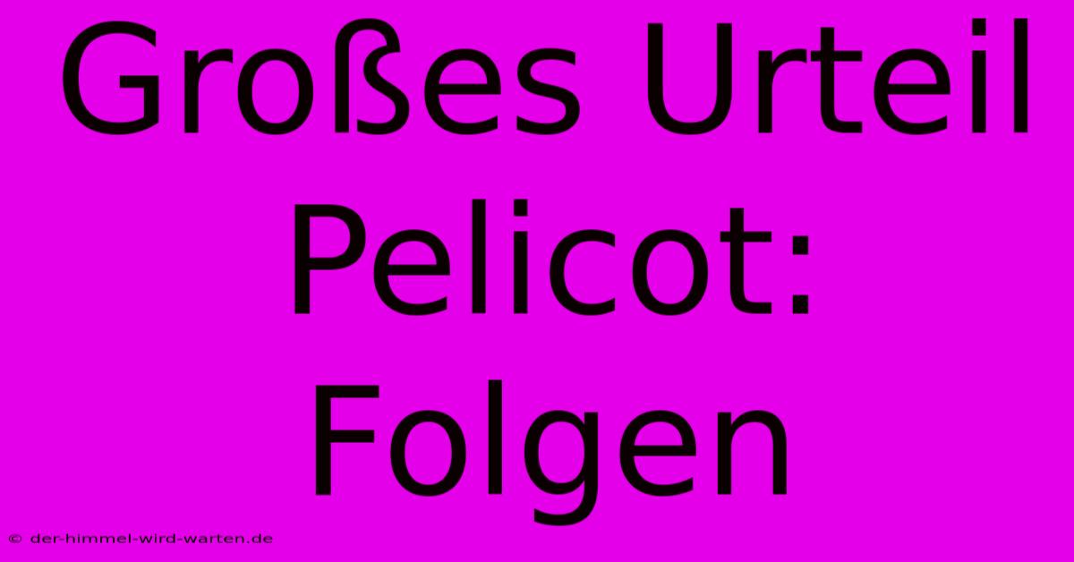 Großes Urteil Pelicot: Folgen