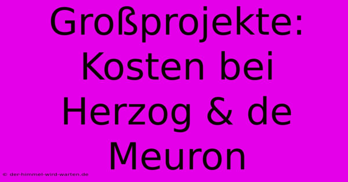 Großprojekte: Kosten Bei Herzog & De Meuron