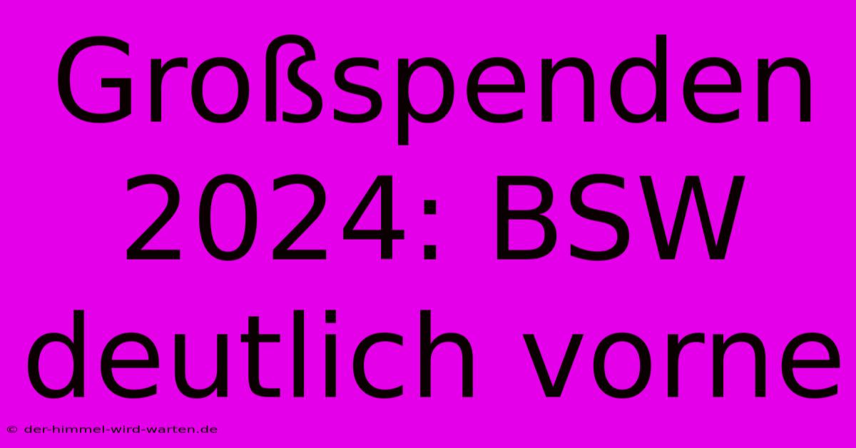 Großspenden 2024: BSW Deutlich Vorne