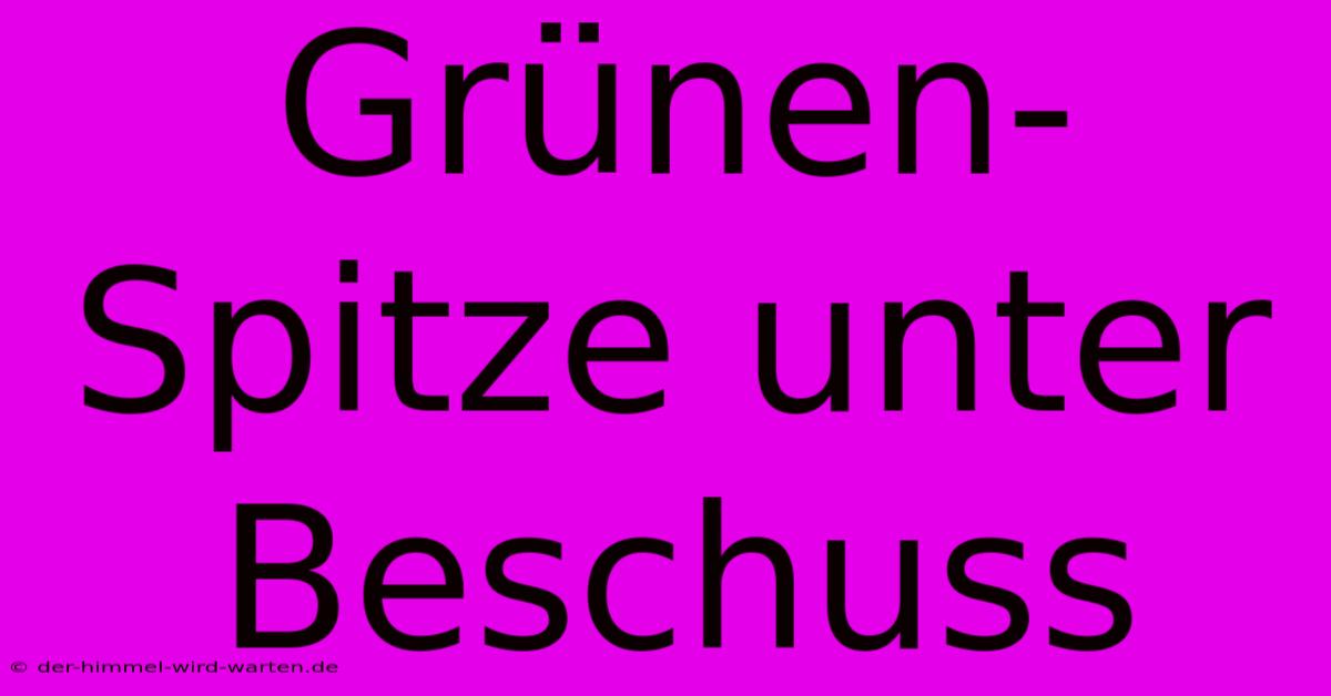 Grünen-Spitze Unter Beschuss