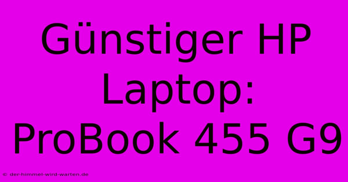 Günstiger HP Laptop: ProBook 455 G9