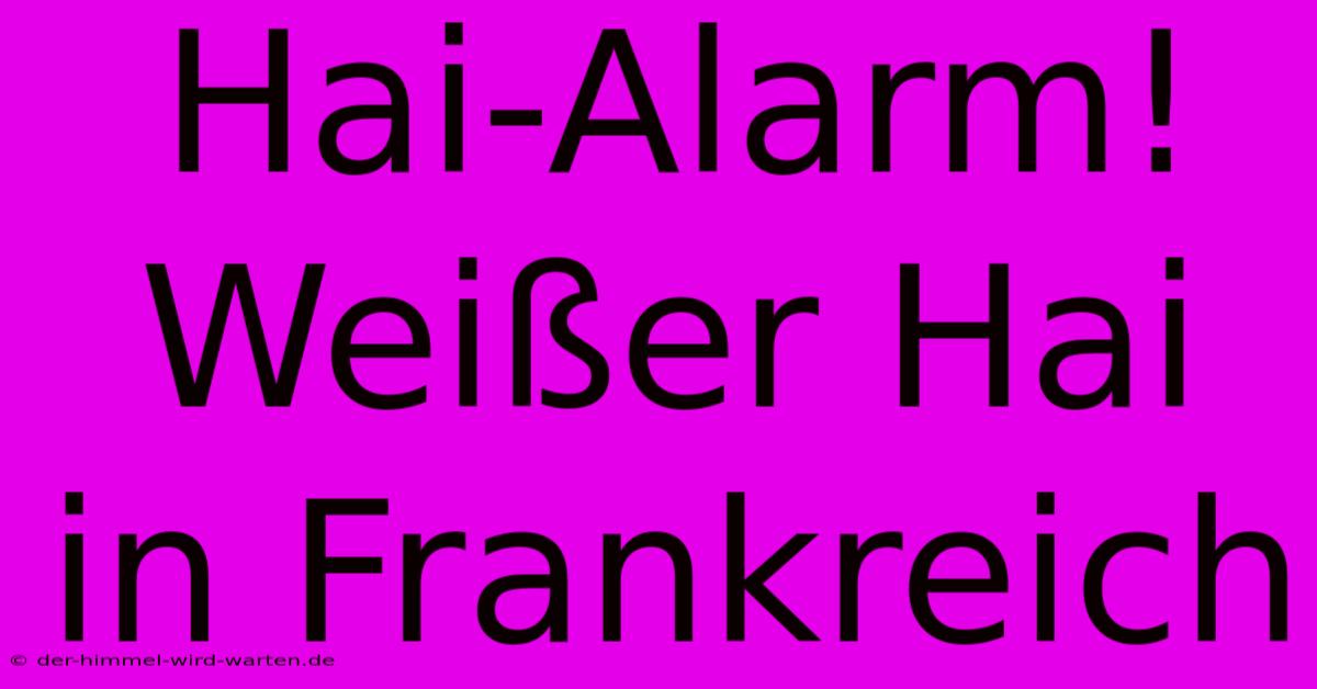 Hai-Alarm! Weißer Hai In Frankreich