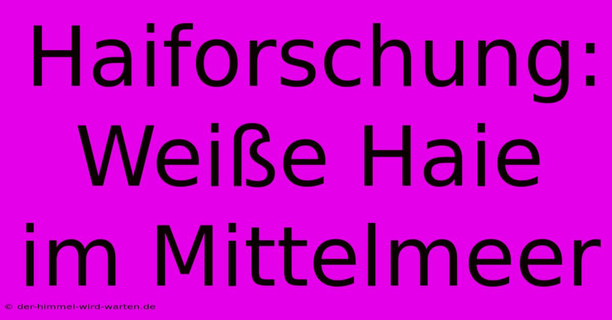 Haiforschung: Weiße Haie Im Mittelmeer