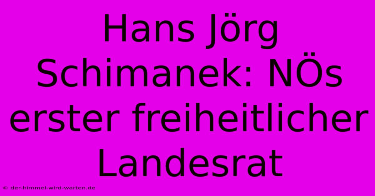 Hans Jörg Schimanek: NÖs Erster Freiheitlicher Landesrat