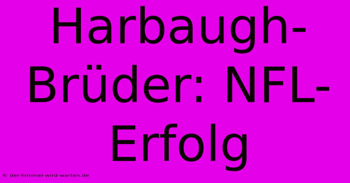 Harbaugh-Brüder: NFL-Erfolg