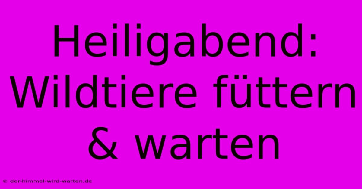 Heiligabend: Wildtiere Füttern & Warten