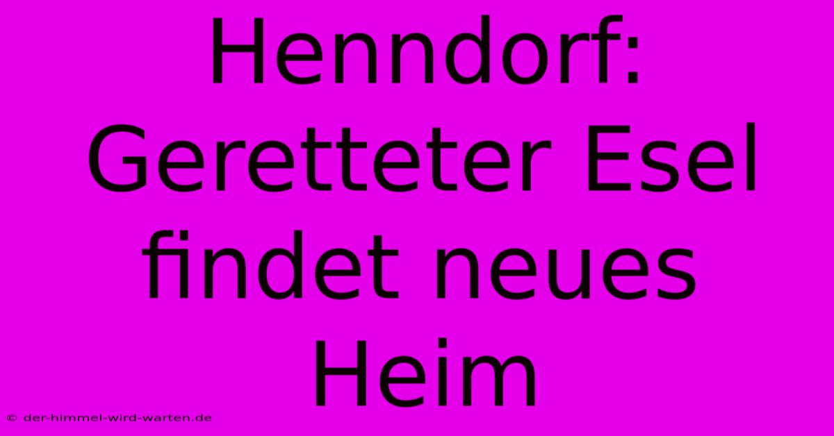 Henndorf: Geretteter Esel Findet Neues Heim