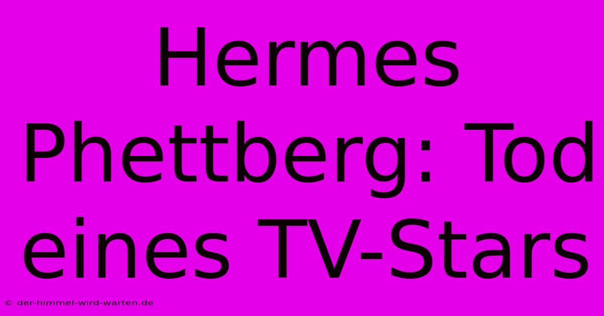 Hermes Phettberg: Tod Eines TV-Stars