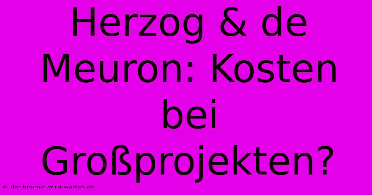 Herzog & De Meuron: Kosten Bei Großprojekten?