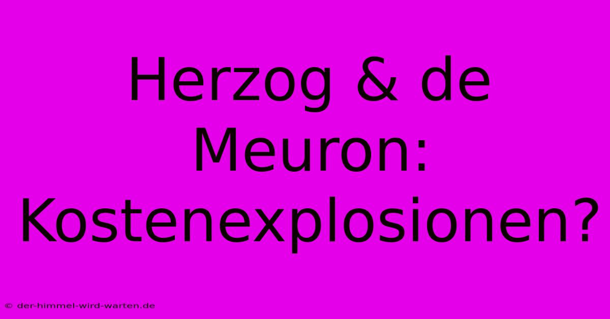 Herzog & De Meuron: Kostenexplosionen?