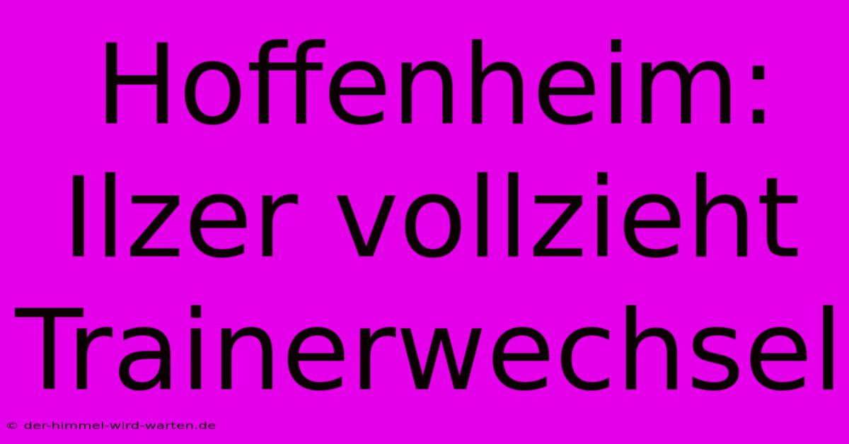 Hoffenheim: Ilzer Vollzieht Trainerwechsel
