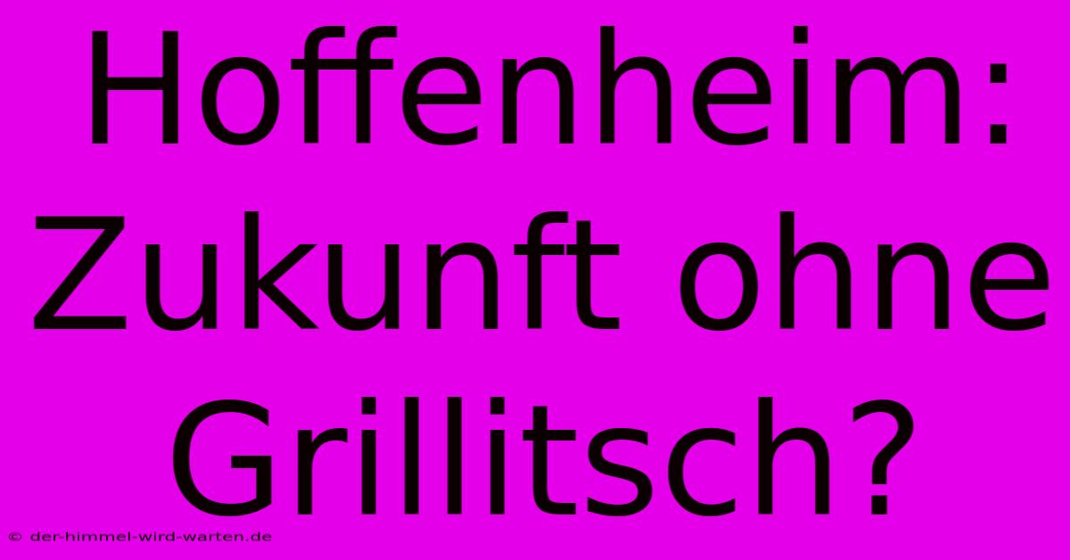 Hoffenheim: Zukunft Ohne Grillitsch?