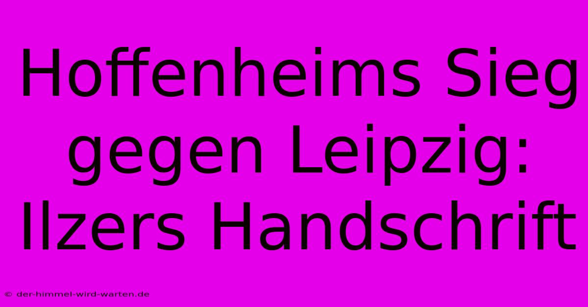 Hoffenheims Sieg Gegen Leipzig: Ilzers Handschrift