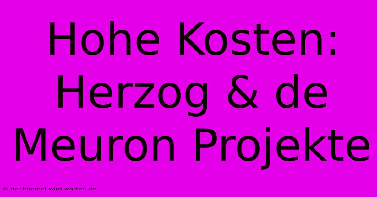 Hohe Kosten: Herzog & De Meuron Projekte