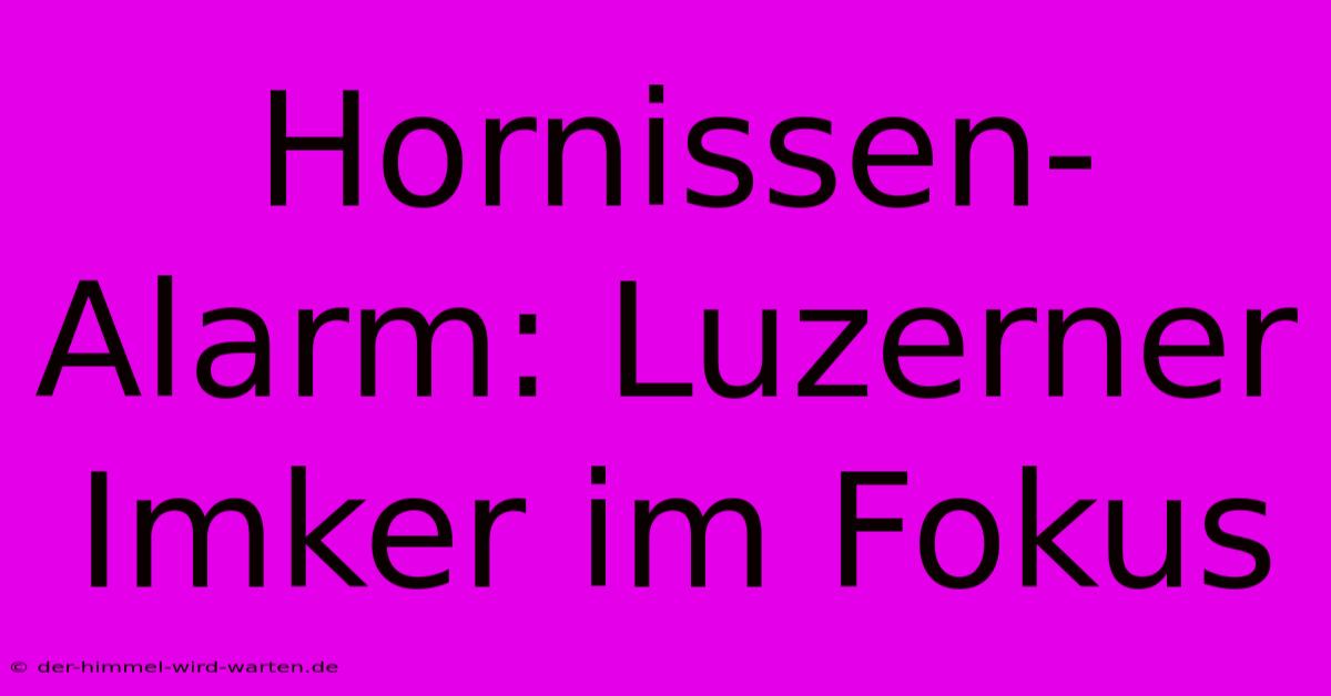 Hornissen-Alarm: Luzerner Imker Im Fokus