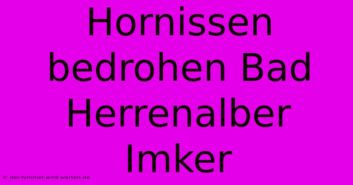 Hornissen Bedrohen Bad Herrenalber Imker