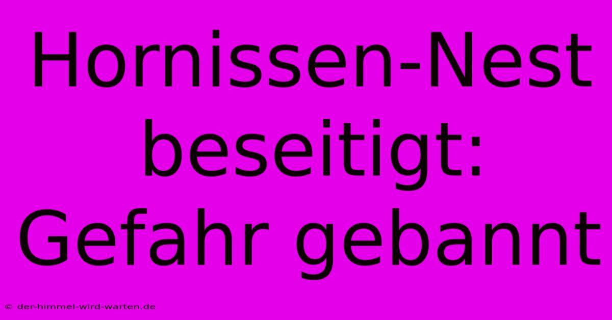 Hornissen-Nest Beseitigt: Gefahr Gebannt