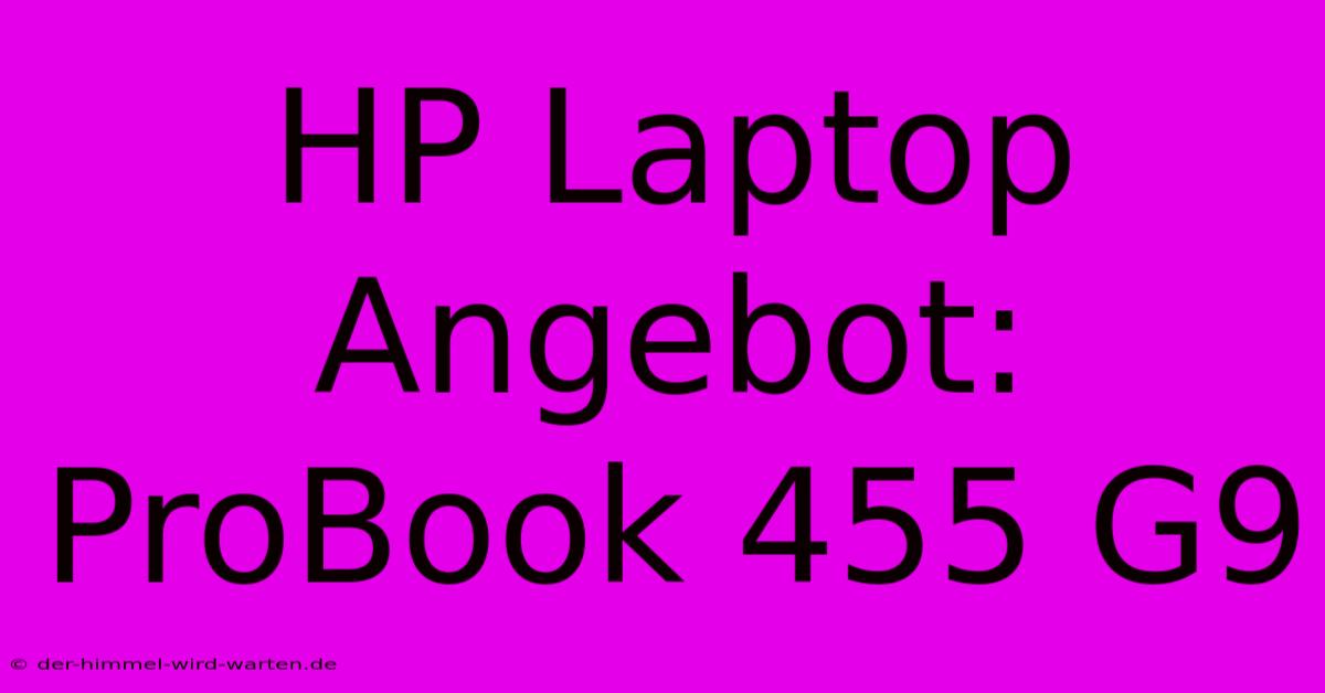 HP Laptop Angebot: ProBook 455 G9