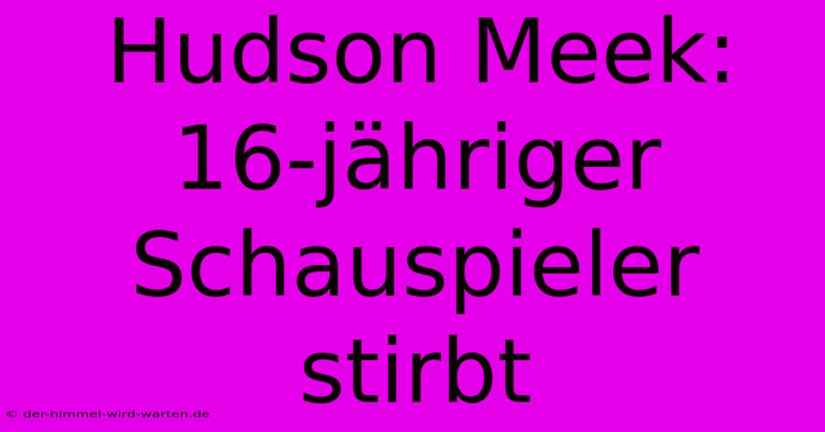 Hudson Meek: 16-jähriger Schauspieler Stirbt