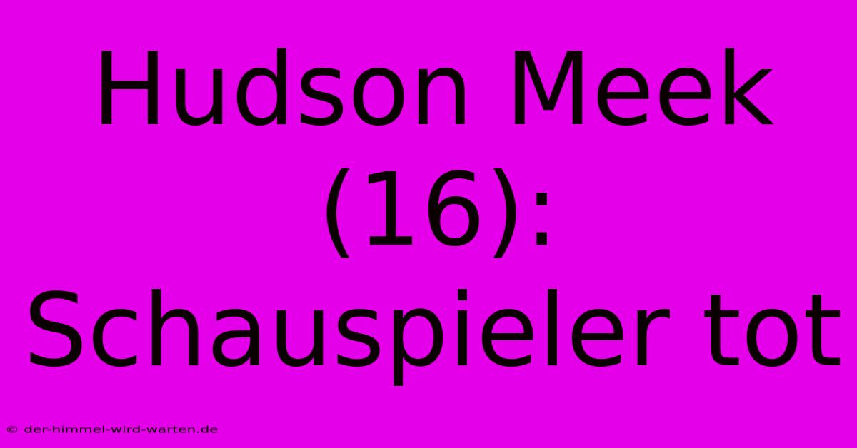 Hudson Meek (16): Schauspieler Tot