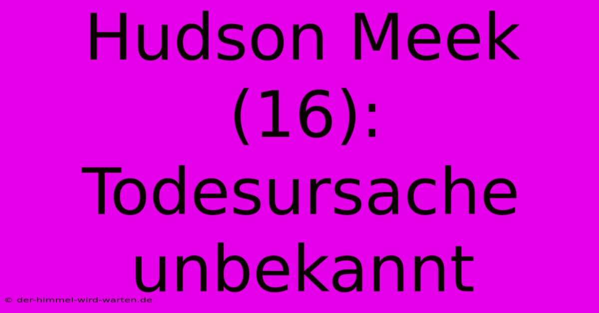 Hudson Meek (16): Todesursache Unbekannt