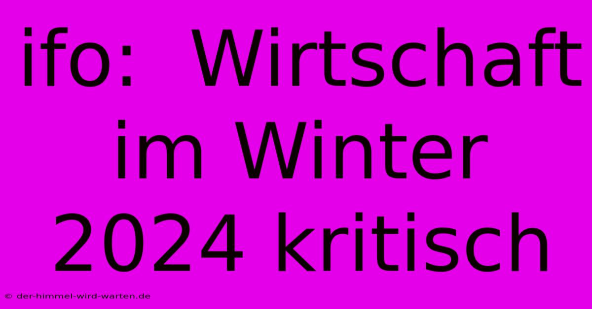 Ifo:  Wirtschaft Im Winter 2024 Kritisch