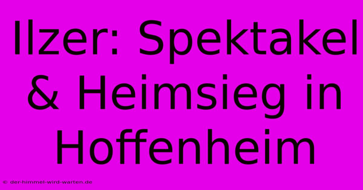 Ilzer: Spektakel & Heimsieg In Hoffenheim