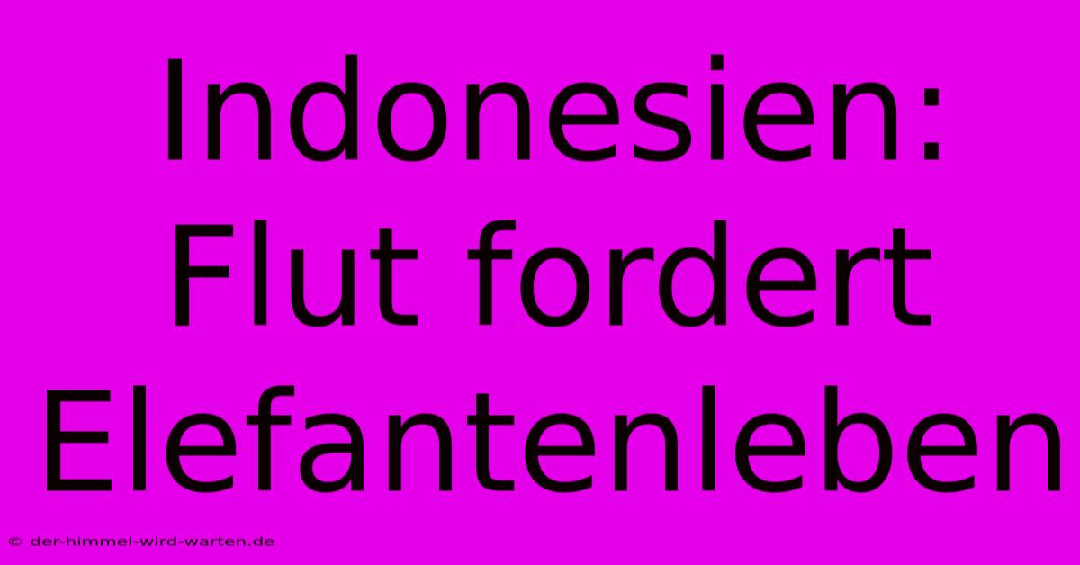 Indonesien: Flut Fordert Elefantenleben