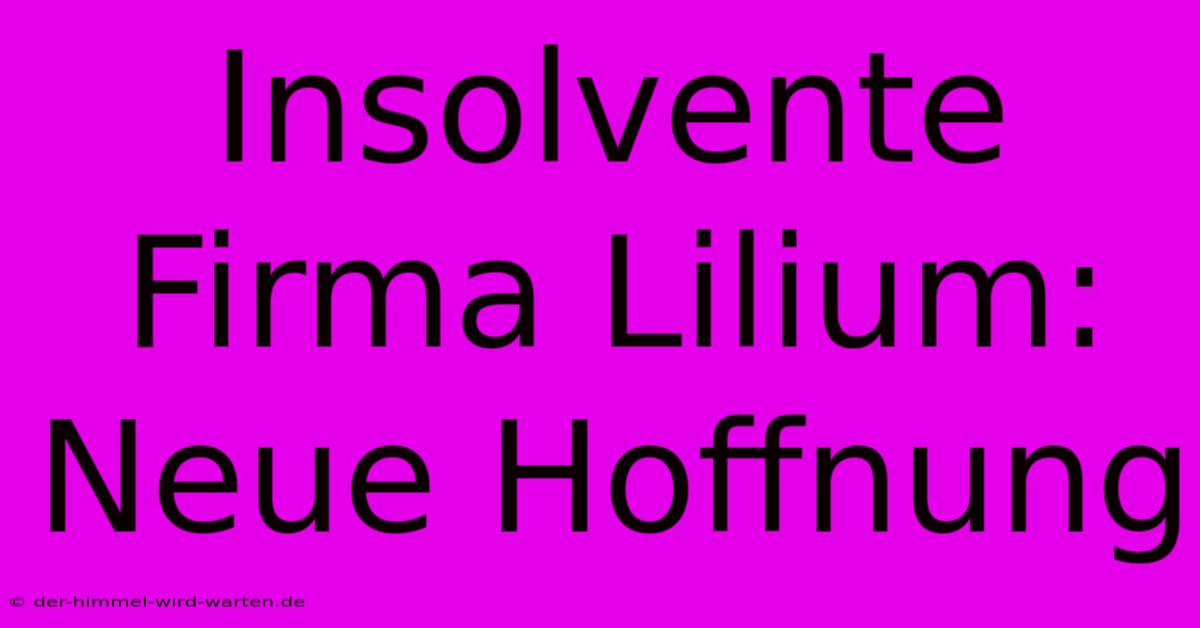 Insolvente Firma Lilium: Neue Hoffnung