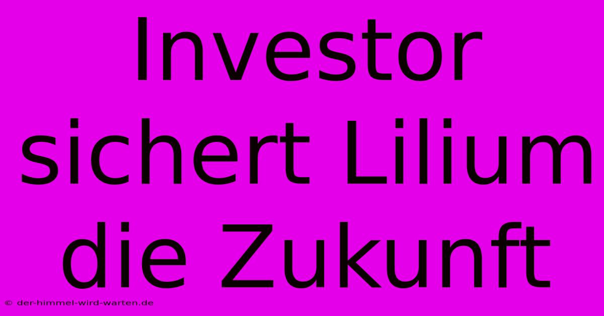 Investor Sichert Lilium Die Zukunft