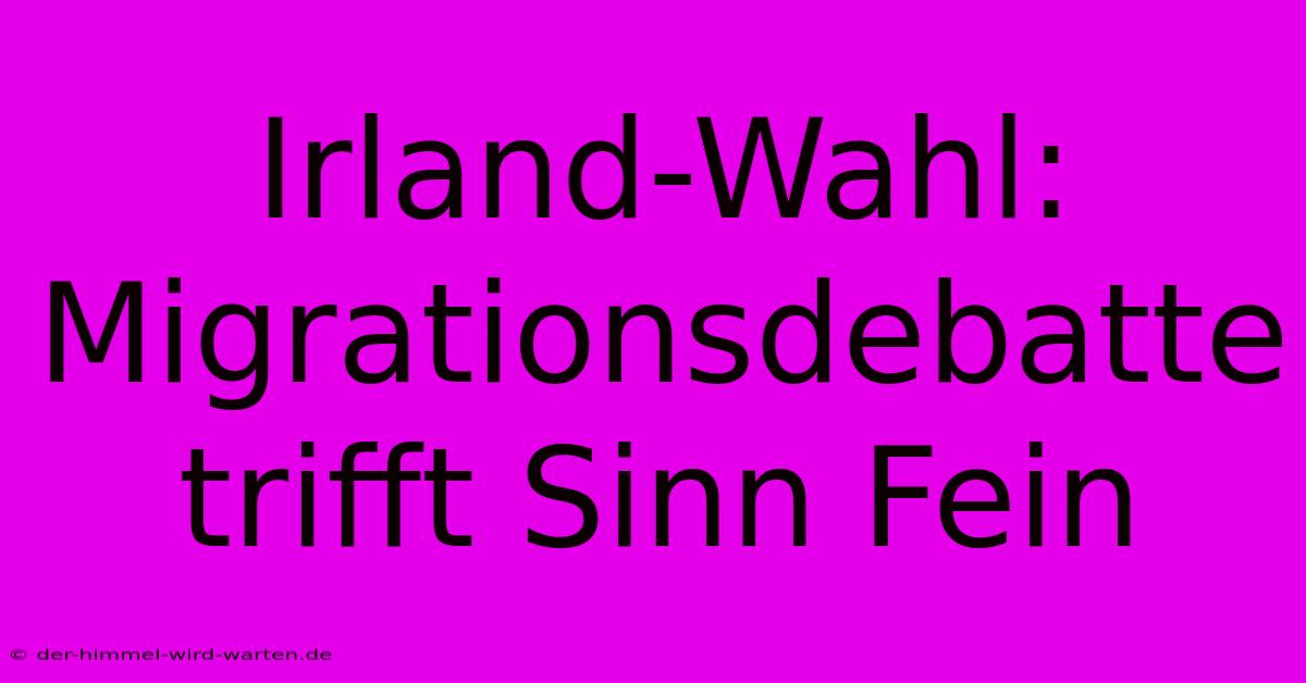 Irland-Wahl: Migrationsdebatte Trifft Sinn Fein