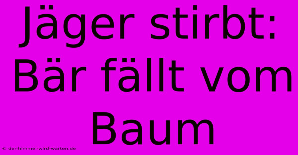 Jäger Stirbt: Bär Fällt Vom Baum