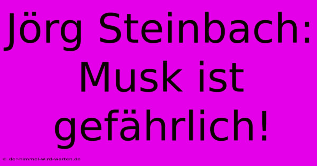 Jörg Steinbach: Musk Ist Gefährlich!