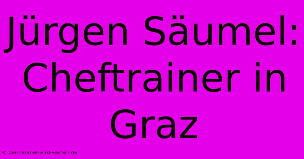 Jürgen Säumel: Cheftrainer In Graz