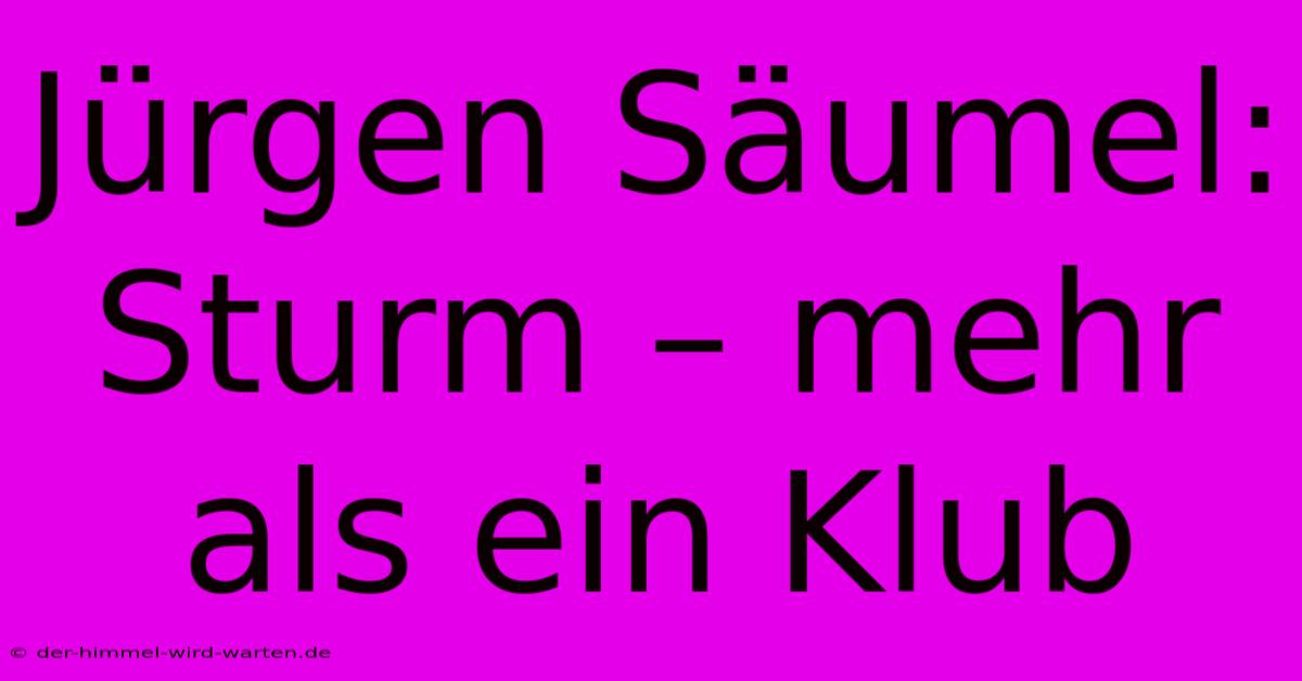 Jürgen Säumel: Sturm – Mehr Als Ein Klub