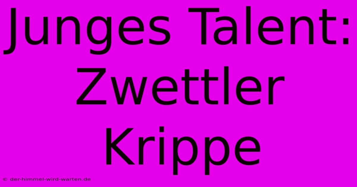 Junges Talent: Zwettler Krippe