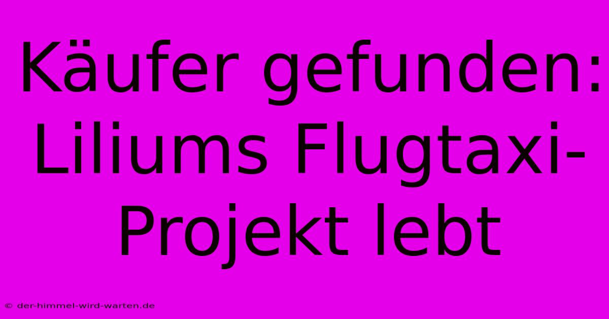 Käufer Gefunden: Liliums Flugtaxi-Projekt Lebt