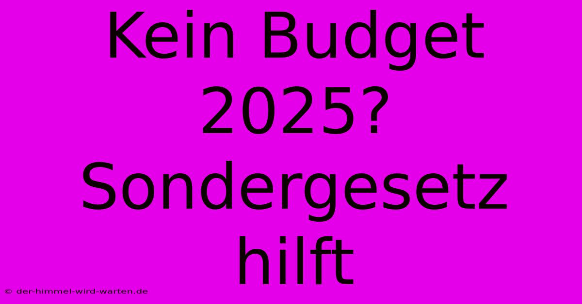 Kein Budget 2025? Sondergesetz Hilft