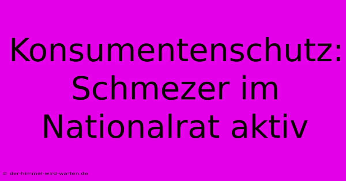 Konsumentenschutz: Schmezer Im Nationalrat Aktiv