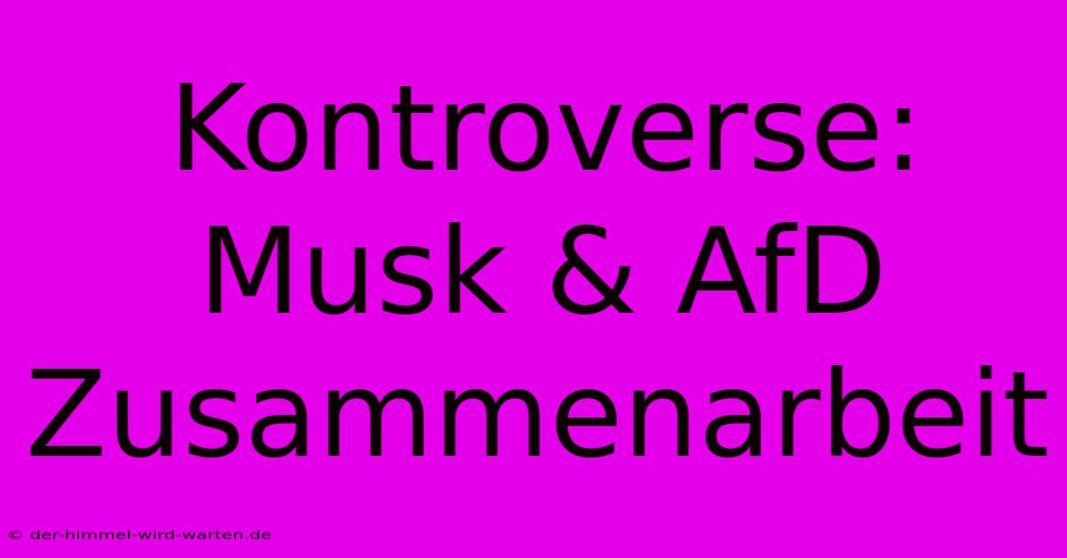 Kontroverse: Musk & AfD Zusammenarbeit