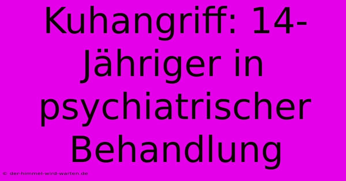 Kuhangriff: 14-Jähriger In Psychiatrischer Behandlung