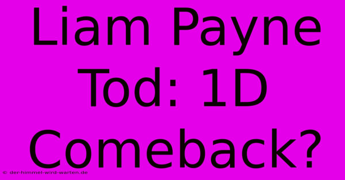 Liam Payne Tod: 1D Comeback?