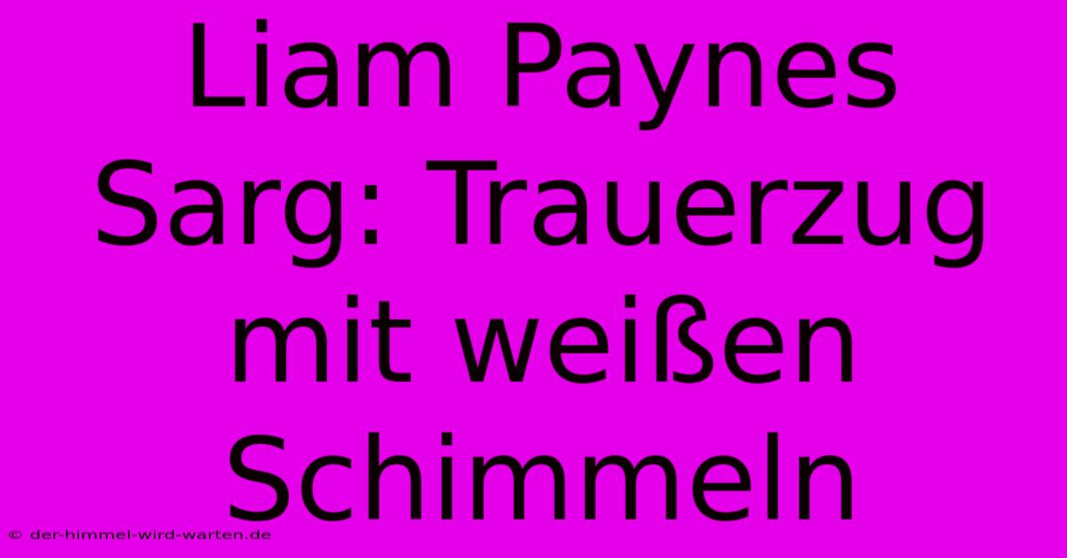 Liam Paynes Sarg: Trauerzug Mit Weißen Schimmeln