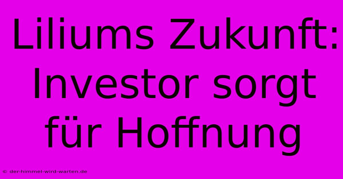 Liliums Zukunft: Investor Sorgt Für Hoffnung