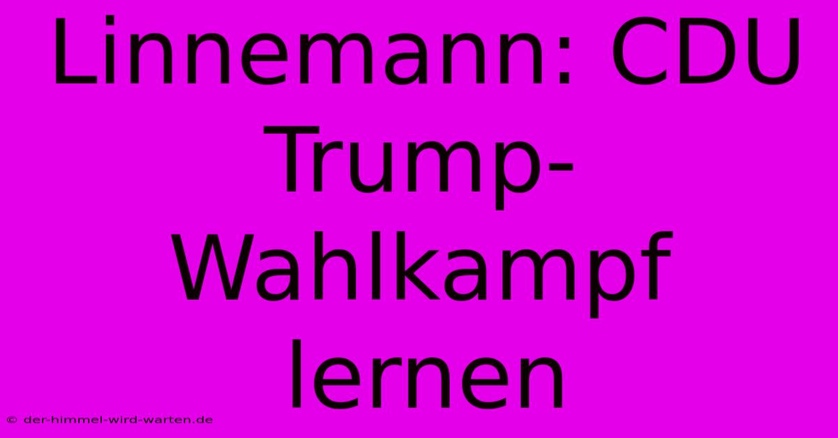 Linnemann: CDU Trump-Wahlkampf Lernen