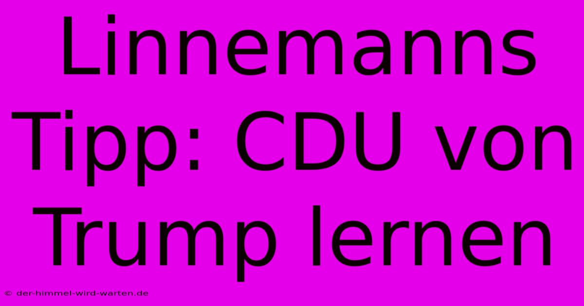 Linnemanns Tipp: CDU Von Trump Lernen