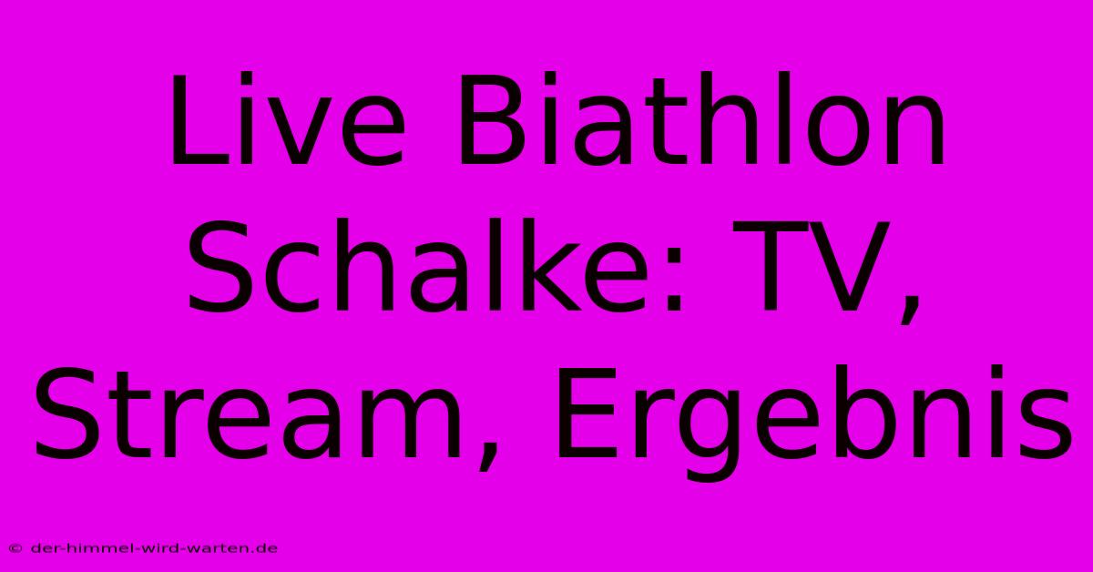 Live Biathlon Schalke: TV, Stream, Ergebnis