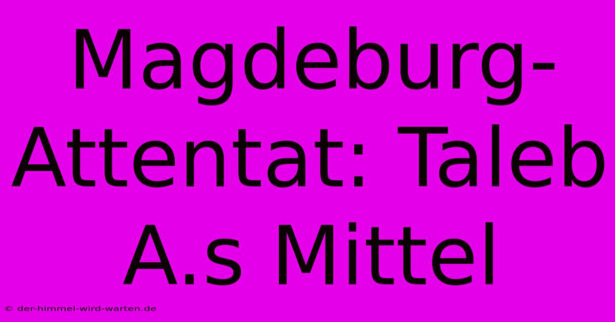 Magdeburg-Attentat: Taleb A.s Mittel