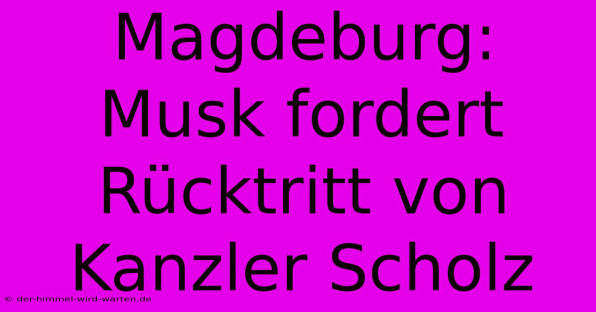 Magdeburg: Musk Fordert Rücktritt Von Kanzler Scholz