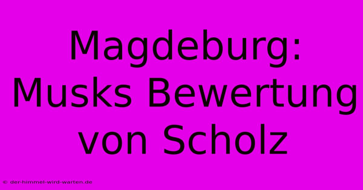 Magdeburg: Musks Bewertung Von Scholz